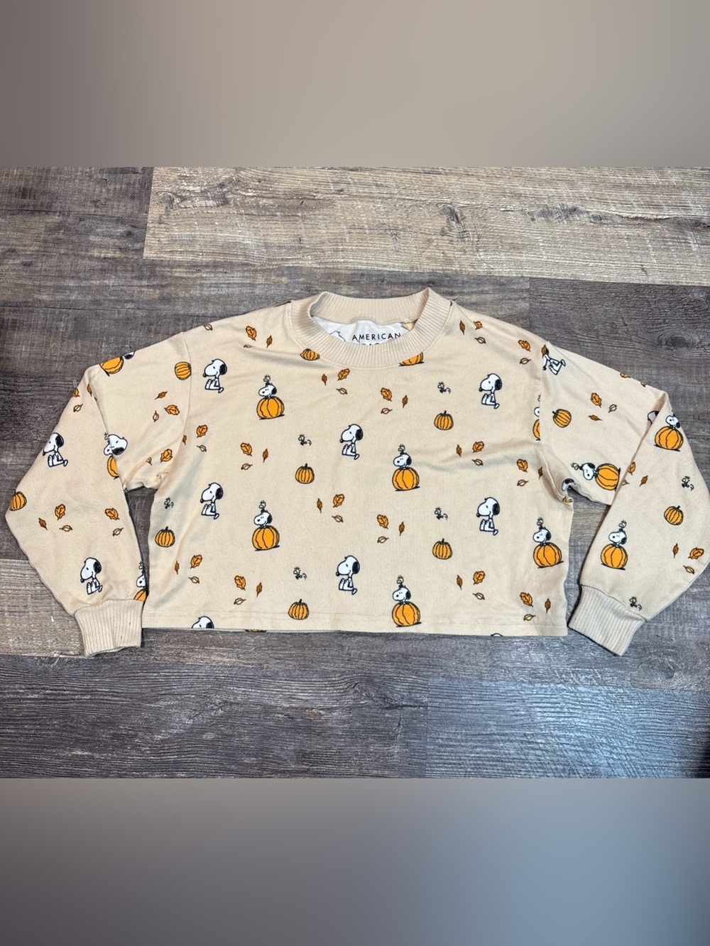 American Eagle AE x Peanuts Fall Pumpkin Snoopy Plush Pajama Top Size XXS